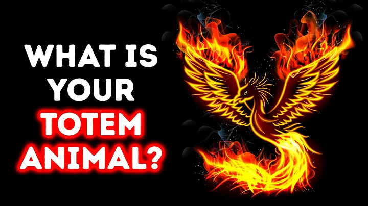 What's Your Soul Animal? A Cool Personality Test - DayDayNews