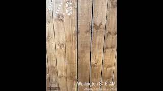 Ambient Noise On A Saturday Am, 49Db Max Compared To 76Db Moments Later.