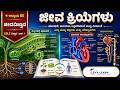 SSLC ವಿಜ್ಞಾನ | ಅಧ್ಯಾಯ 5: ಜೀವ ಕ್ರಿಯೆಗಳು | ಕರ್ನಾಟಕ KSEAB ಕ್ಲಾಸ್ 10 (ವಿಷಯ ಸಂಕೇತ: 83-K)