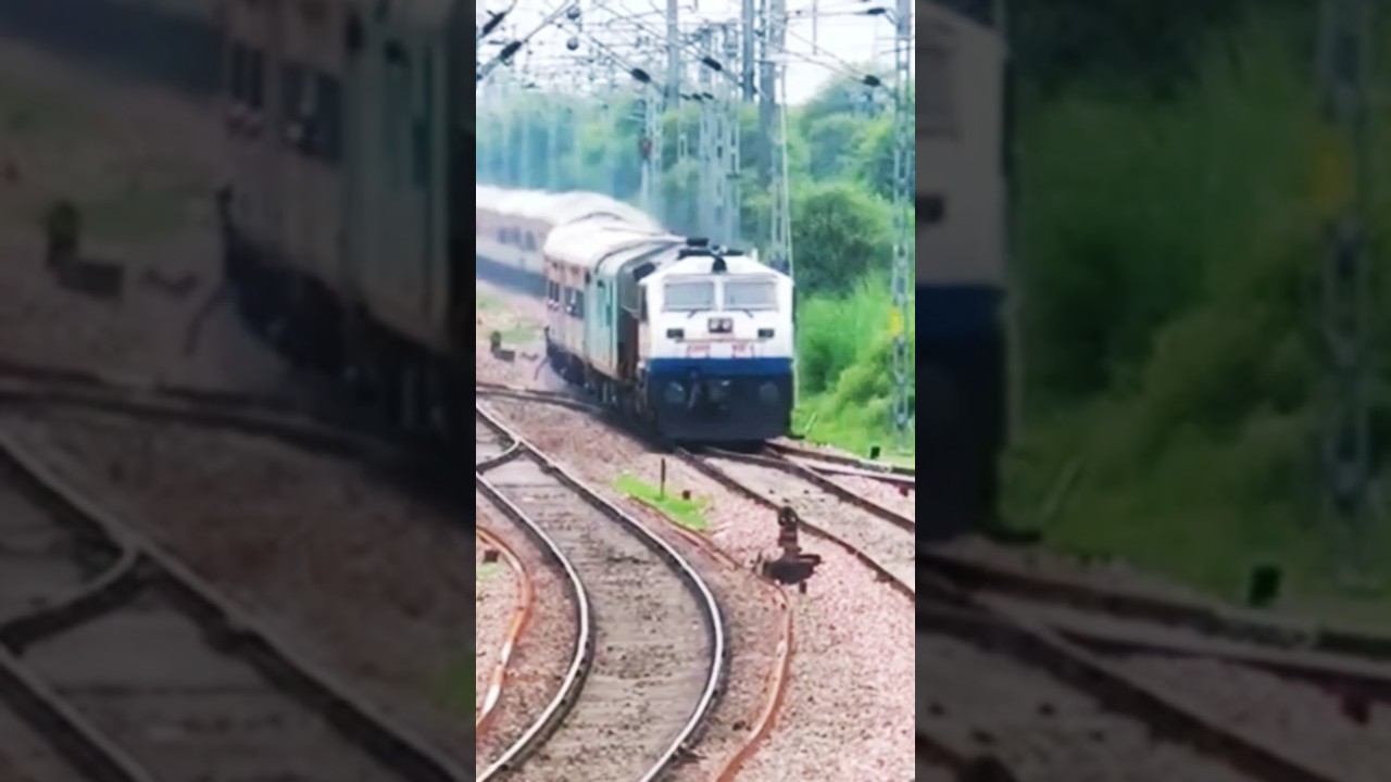 WDP4 on dangerous Curve