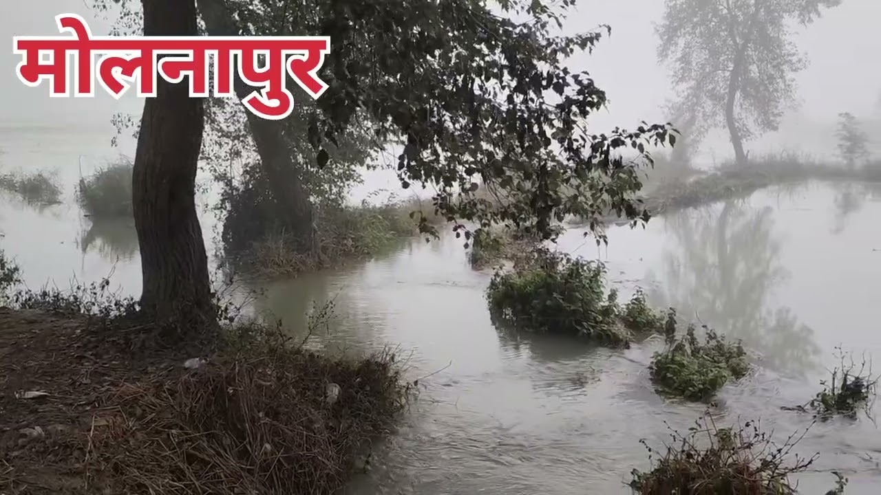 हमारे गांव में नहर कट गई और पूरी फसल बर्बाद हो गई 😭😭😭😭😭