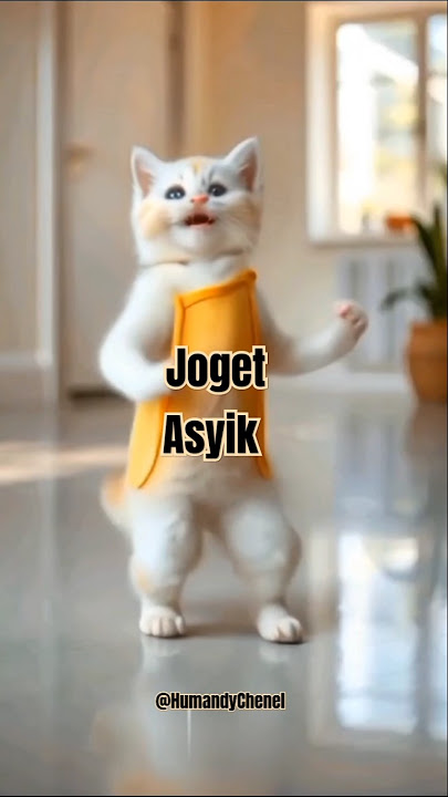 joget asyik #goyang #joget #musik #cat #viralvideo