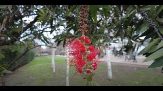 Famous London Walking Thames Path Gabriel's Wharf Thames Beach Queens Walk Part 17 of 25 Wealth