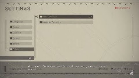Nier Automata settings easter egg