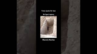 Yotishim shoxona Murod Muslim
