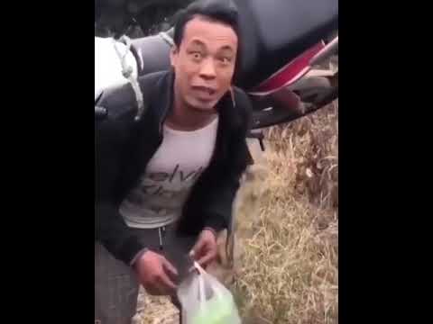El hombre mula