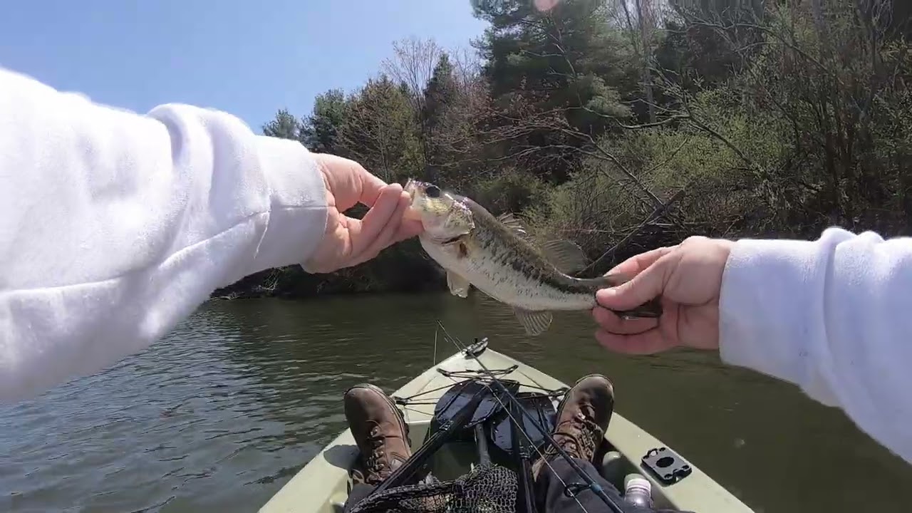 Laid Back Bass Fishing – Just Me & the Pond 🎣