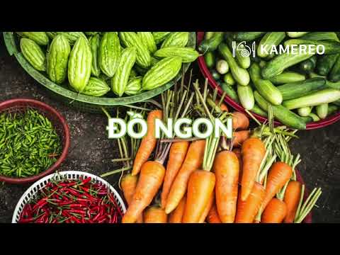 Video Kamereo - Ứng dụng cung cấp thực phẩm sỉ - youtube