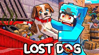 We Found a Lost Dog in a Dumpster...