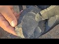 Thinning a quarry blank moose antler percussion. #flintknapping #primitive. Part 1