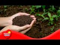 Understanding Soil: Its Importance and Characteristics