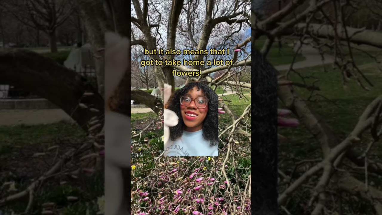 Мы готовим печенье «Магнолия»! 💗🌸 