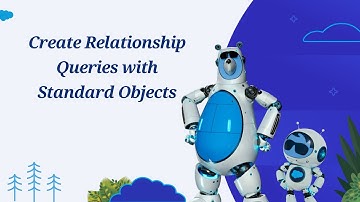 Lesson 7 : Create Relationship Queries with Standard Objects