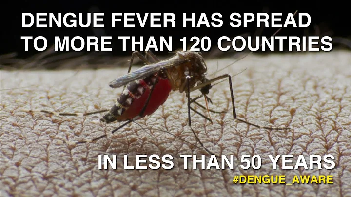 Dengue Fever Has Spread To 120 Countries In 50 Years - DayDayNews