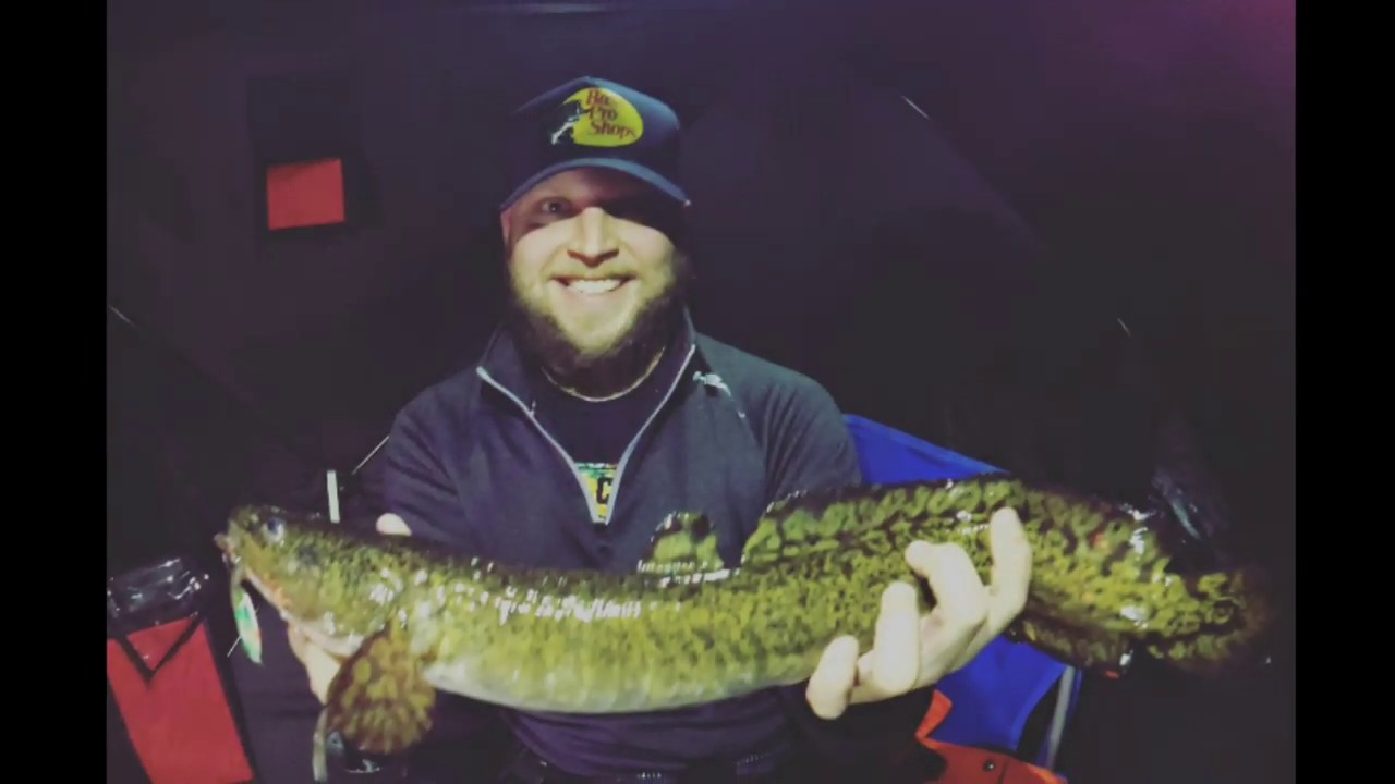 Ice fishing for Burbot