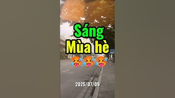 sáng dậy vội vã mùa hè #summer #shorts #lemoncoder