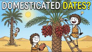 How Did Humans Domesticate Dates