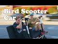 I MADE A CAR OUT OF BIRD SCOOTERS.