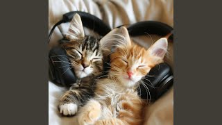 Soft Paws Echoes