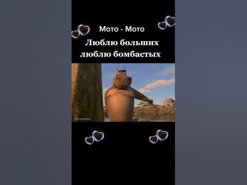 Мото Мото песня - YouTube