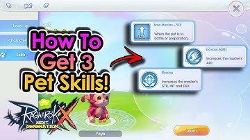 [ROX Global] How to get ALL 3 Pet Skills You Want! | King Spade
