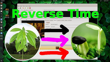 [Tool] Openshot Video Editor: Creating Reverse Videos | Reverse Time Videos| Max 10X