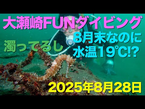 大瀬崎FUNダイビング 濁ってるし8月末なのに水温19℃!?（2025年8月28日