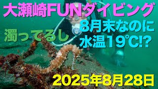 大瀬崎FUNダイビング 濁ってるし8月末なのに水温19℃!?（2025年8月28日