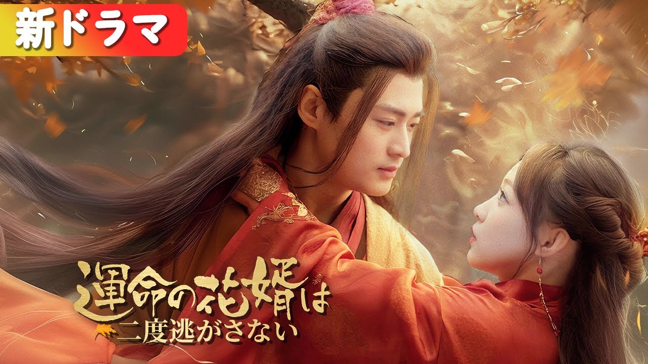 運命のまなざし　中国テレビドラマ　日本語字幕　感動物語 日本語字幕無し 中国ドラマ「長風渡?運命の糸?」DVD 全話収録