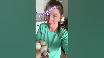 She was a fairy 😆💜 #music #funny #chicken #eggs #shorts