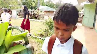 Performance task on TLE 