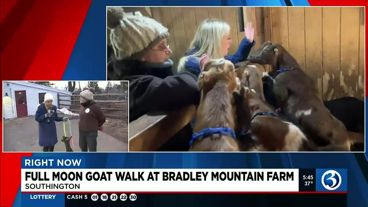 VIDEO Full moon goat walk at Bradley Mountain Farm YouTube