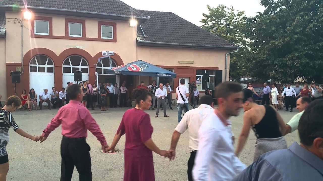LUCI LĂDARIU -NUNTĂ BORLOVA 2015
