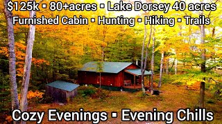 Cheap Land For Sale In Michigan | Land For Sale In Northern Michigan| Michigan Cheap Cabins For Sale