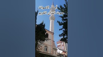 سوره الكوثر♥️ القارئ عبد الرحمن مسعد #المصحف #راحة_نفسية #الرحمن #تصويري #قران_بصوت_جميل