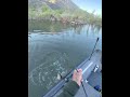 Lake perris 4/7/26
