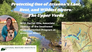 The Upper Verde: How We Can Protect Arizona&#39;s Last Wild River