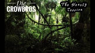 Die CrowBros - Jedes moi hob i an hoatn (Jerry Lee Lewis - Everyday I Have To Cry) PARODIE