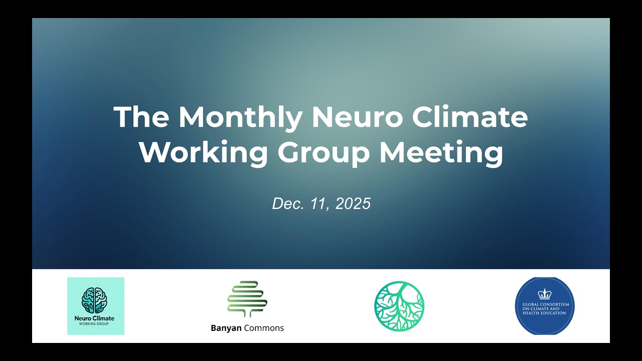 Brain Health Impacts of Air Pollution and Climate Change in South Asia