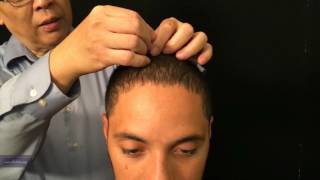 Zhenghui T 1010 01 ESPANOL Punto del Maestro Tung por Chuan-Min Wang