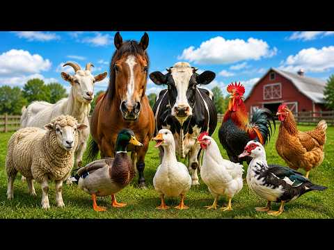 30 Farm Animals & Their Sounds šš | Animal Sounds for Kids | Learn Farm Animals