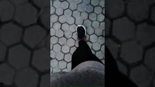 10,000 Steps Walkbhutanese Thought.healthy Tips Weight Loss