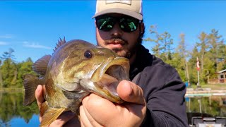 Exploring a Hidden River LOADED With Bass