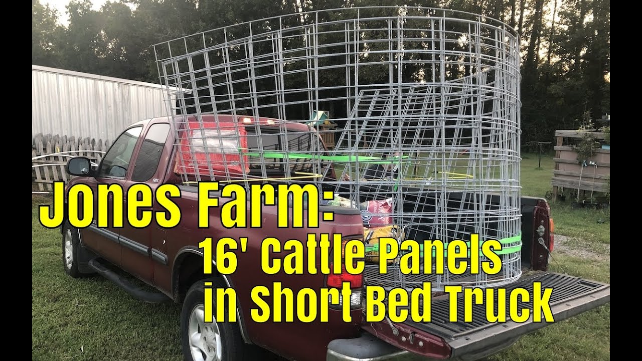Jones Farm 16' Cattle Panels in Short Bed Truck YouTube