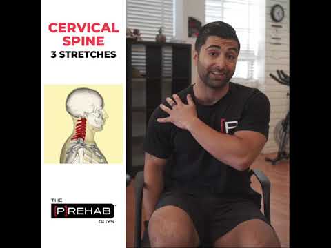 Cervical Spine 3 Stretches
