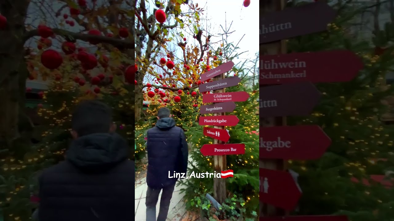 Linz, Austria (Winterwald) 