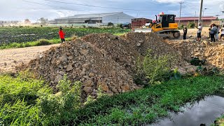 OMG!!! New Skill Perfectly Landfill Site Formed Be Careful Dozer Shantui Pushing fill Grassland