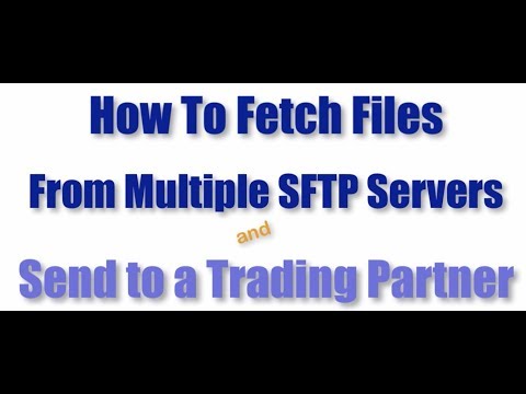 Fetching Files from