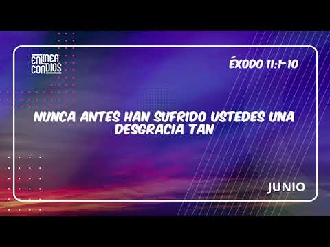 Día 11 - LA MUERTE DE LOS PRIMOGÉNITOS