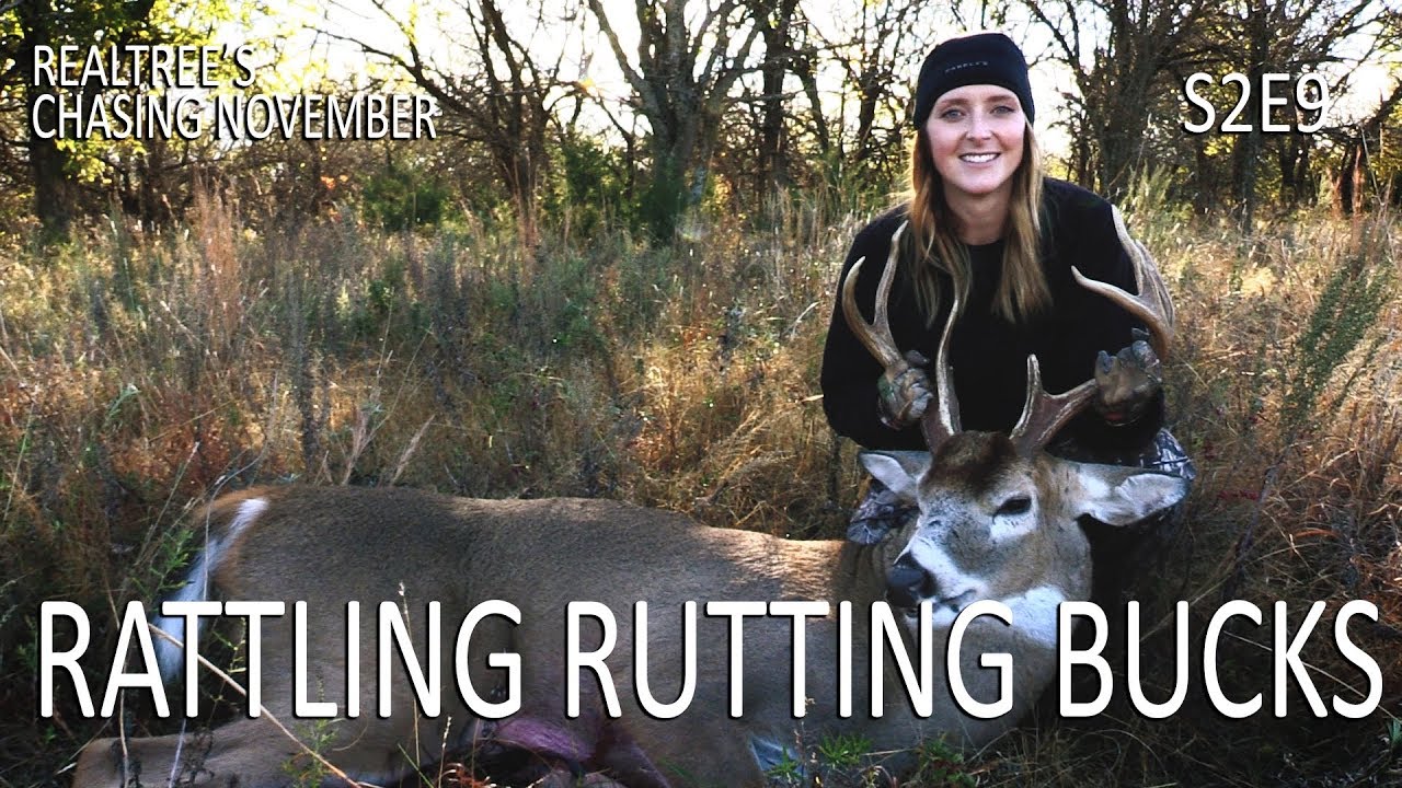 Bale Blind Trophy, Rattling Rutting Bucks Chasing November S2E9 YouTube